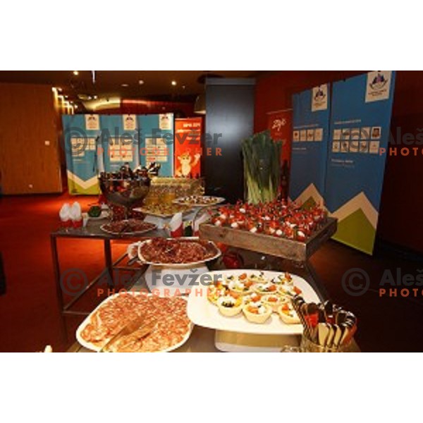 Reception of Slovenian Olympic committee in hotel Park Inn, Rosa Khutor ,Sochi 2014 Winter Olympic Games on February 18, 2014
