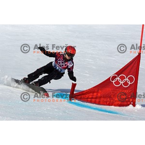 Gloria Kotnik of Slovenia competes in qualification of Ladies Parallel Giant Slalom in Rosa Khutor Extreme Park, Sochi 2014 Winter Olympic Games, Russia on February 19, 2014