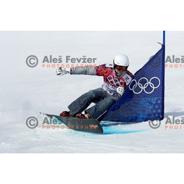 Rok Flander of Slovenia competes in qualification of Men\'s Parallel Giant Slalom in Rosa Khutor Extreme Park, Sochi 2014 Winter Olympic Games, Russia on February 19, 2014