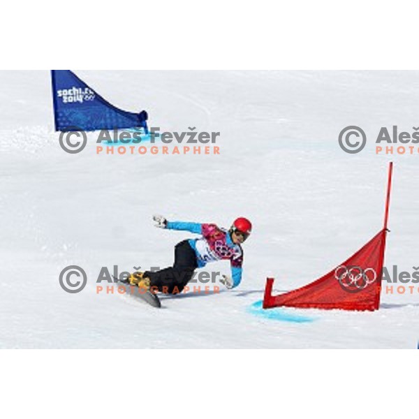 Zan Kosir of Slovenia competes in qualification of Men\'s Parallel Giant Slalom in Rosa Khutor Extreme Park, Sochi 2014 Winter Olympic Games, Russia on February 19, 2014