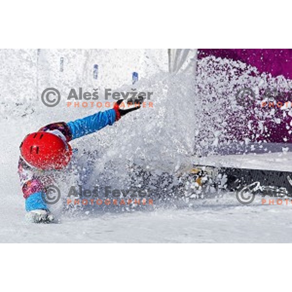 Zan Kosir of Slovenia celebrates bronze Olympic medal in Men\'s Parallel Giant Slalom in Rosa Khutor Extreme Park, Sochi 2014 Winter Olympic Games, Russia on February 19, 2014
