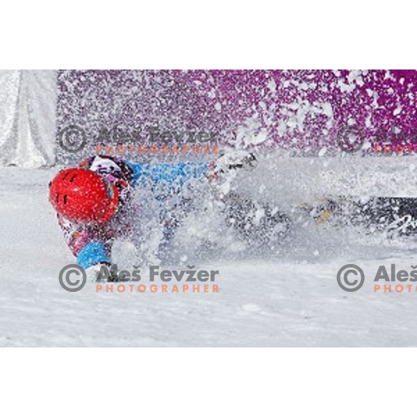 Zan Kosir of Slovenia celebrates bronze Olympic medal in Men\'s Parallel Giant Slalom in Rosa Khutor Extreme Park, Sochi 2014 Winter Olympic Games, Russia on February 19, 2014