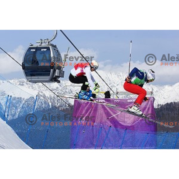 Filip Flisar of Slovenia competes in Men\'s Ski Cross in Rosa Khutor Extreme Park, Sochi 2014 Winter Olympic Games, Russia on February 20, 2014