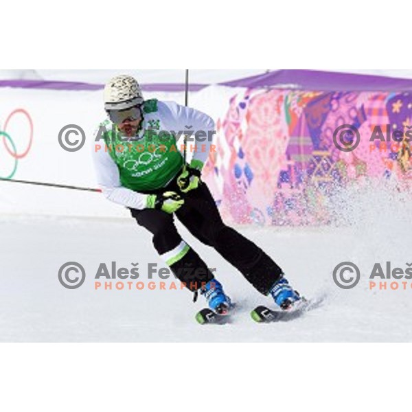 Filip Flisar of Slovenia competes in Men\'s Ski Cross in Rosa Khutor Extreme Park, Sochi 2014 Winter Olympic Games, Russia on February 20, 2014