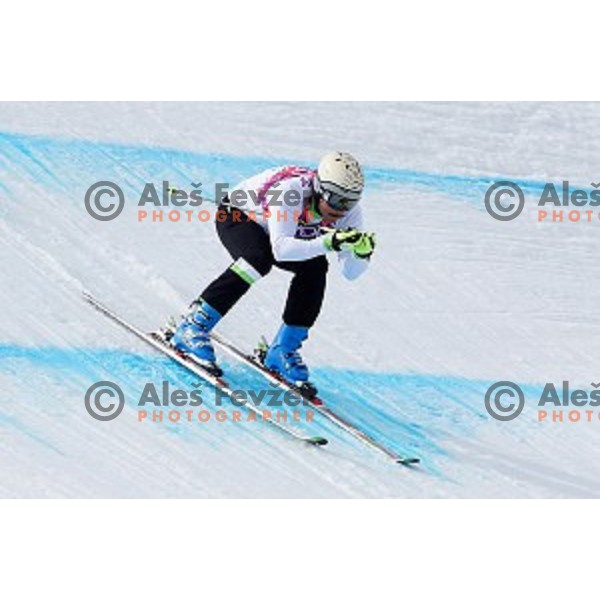 Filip Flisar of Slovenia competes in Men\'s Ski Cross in Rosa Khutor Extreme Park, Sochi 2014 Winter Olympic Games, Russia on February 20, 2014