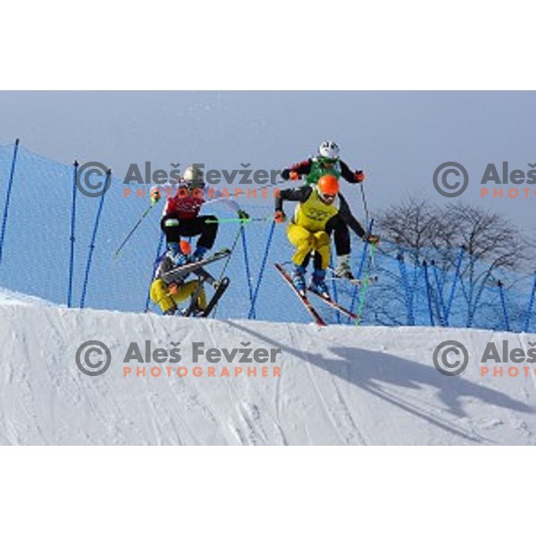 Filip Flisar of Slovenia competes in Men\'s Ski Cross in Rosa Khutor Extreme Park, Sochi 2014 Winter Olympic Games, Russia on February 20, 2014