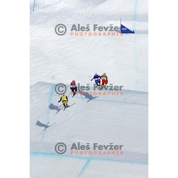 Filip Flisar of Slovenia competes in Men\'s Ski Cross in Rosa Khutor Extreme Park, Sochi 2014 Winter Olympic Games, Russia on February 20, 2014