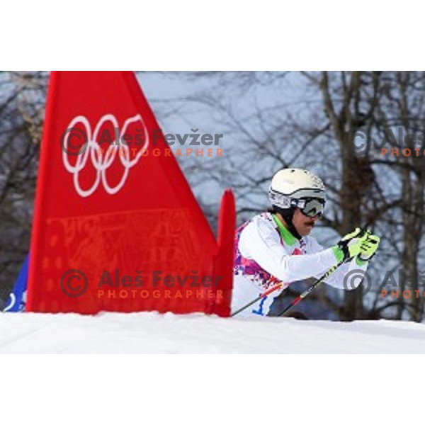 Filip Flisar of Slovenia competes in Men\'s Ski Cross in Rosa Khutor Extreme Park, Sochi 2014 Winter Olympic Games, Russia on February 20, 2014