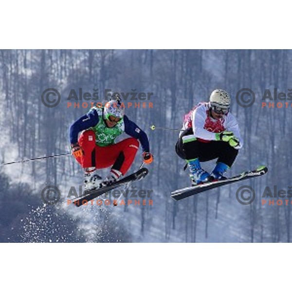 Filip Flisar of Slovenia competes in Men\'s Ski Cross in Rosa Khutor Extreme Park, Sochi 2014 Winter Olympic Games, Russia on February 20, 2014