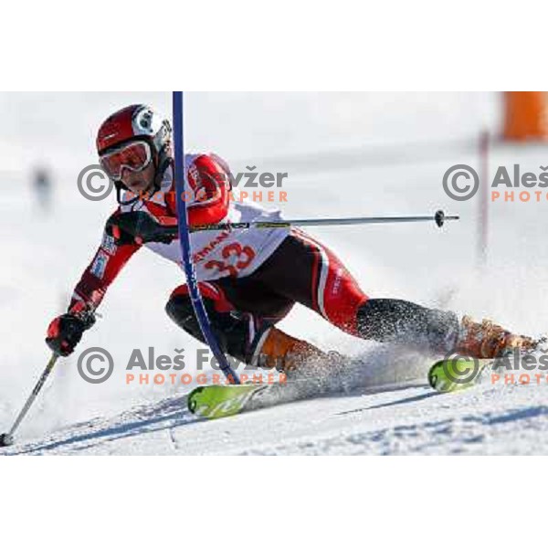 Sara Globocnik at slalom race for Slovenian National Championship Title at Krvavec ski resort. Photo by Ales Fevzer 
