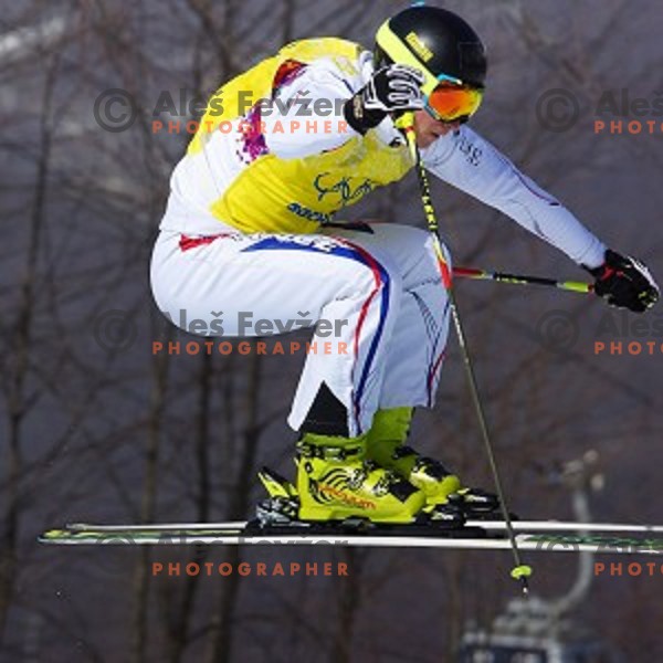 Ski Action in Men\'s Ski Cross in Rosa Khutor Extreme Park, Sochi 2014 Winter Olympic Games, Russia on February 20, 2014