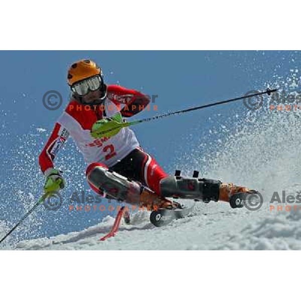 Alenka Kuerner at slalom race for Slovenian National Championship Title at Krvavec ski resort. Photo by Ales Fevzer 
