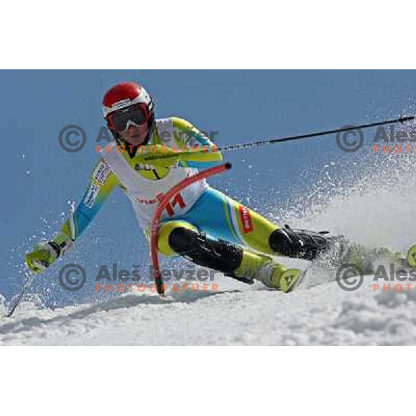 Marusa Ferk at slalom race for Slovenian National Championship Title at Krvavec ski resort. Photo by Ales Fevzer 