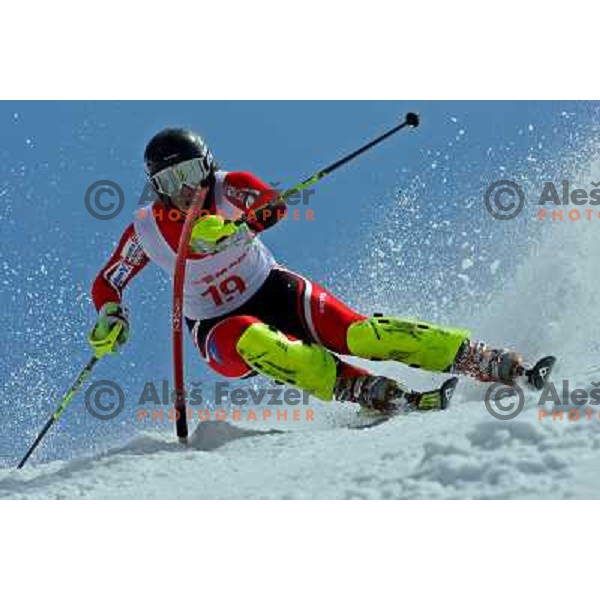 Katja Jazbec at slalom race for Slovenian National Championship Title at Krvavec ski resort. Photo by Ales Fevzer 