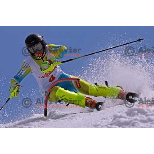 Ana Kobal at slalom race for Slovenian National Championship Title at Krvavec ski resort. Photo by Ales Fevzer 