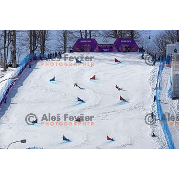 Men\'s Parallel Giant Slalom in Rosa Khutor Extreme Park, Sochi 2014 Winter Olympic Games, Russia on February 19, 2014