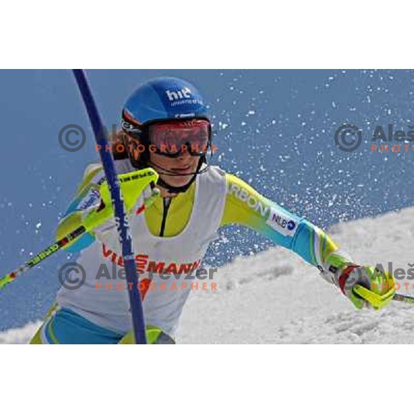 Ilka Stuhec at slalom race for Slovenian National Championship Title at Krvavec ski resort. Photo by Ales Fevzer 