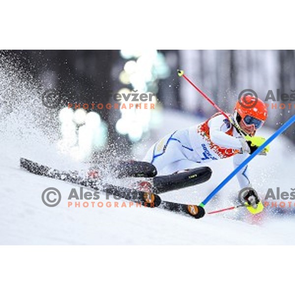 Frida Hansdotter (SWE) skiing in first run of Ladies Slalom in Rosa Khutor Alpine Center, Sochi 2014 Winter Olympic Games, Russia on February 21, 2014