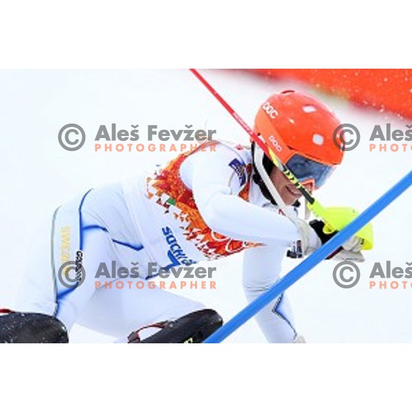 Frida Hansdotter (SWE) skiing in first run of Ladies Slalom in Rosa Khutor Alpine Center, Sochi 2014 Winter Olympic Games, Russia on February 21, 2014