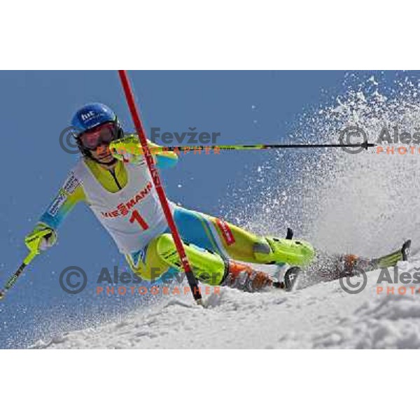 Ilka Stuhec at slalom race for Slovenian National Championship Title at Krvavec ski resort. Photo by Ales Fevzer 