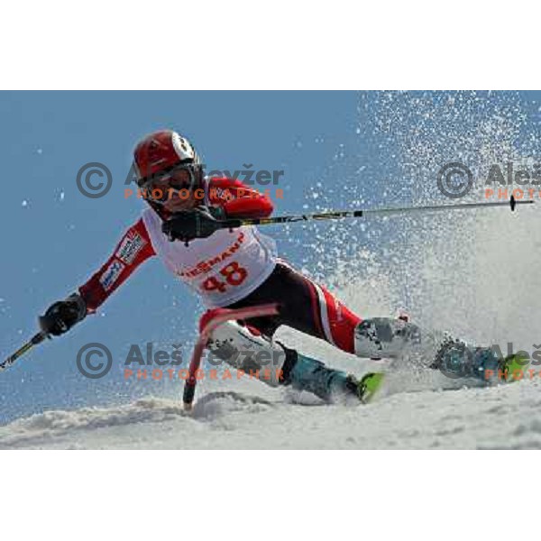 Petra Svete at slalom race for Slovenian National Championship Title at Krvavec ski resort. Photo by Ales Fevzer 