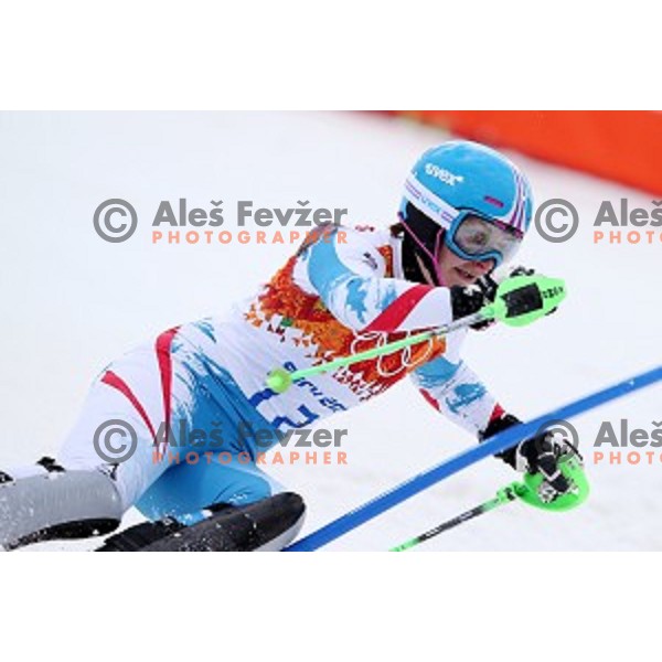 Kathrin Zettel (AUT) skiing in first run of Ladies Slalom in Rosa Khutor Alpine Center, Sochi 2014 Winter Olympic Games, Russia on February 21, 2014