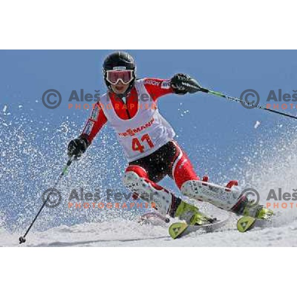 Tina Robnik at slalom race for Slovenian National Championship Title at Krvavec ski resort. Photo by Ales Fevzer 