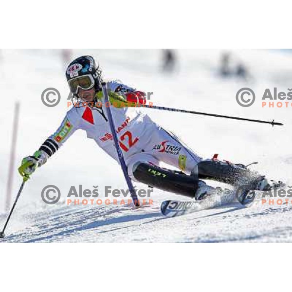 Eva Maria Brem at slalom race for Slovenian National Championship Title at Krvavec ski resort. Photo by Ales Fevzer 
