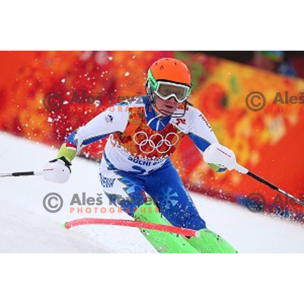 Marusa Ferk (SLO) skiing in first run of Ladies Slalom in Rosa Khutor Alpine Center, Sochi 2014 Winter Olympic Games, Russia on February 21, 2014