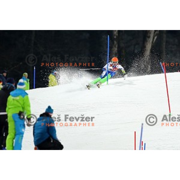 Marusa Ferk of Slovenia in the finish of Ladies Slalom in Rosa Khutor Alpine Center, Sochi 2014 Winter Olympic Games, Russia on February 21, 2014