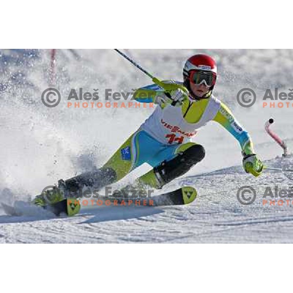 Marusa Ferk at slalom race for Slovenian National Championship Title at Krvavec ski resort. Photo by Ales Fevzer 