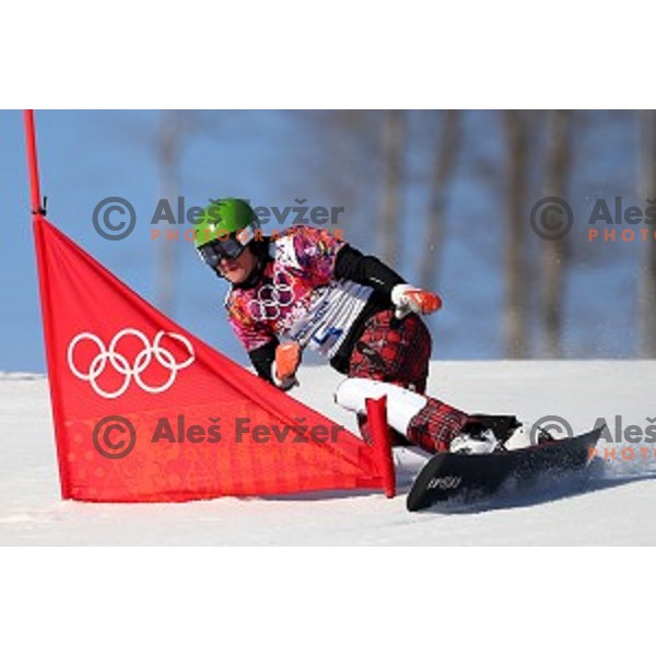 Rok Marguc of Slovenia races in qualification of Men\'s Parallel Slalom in Rosa Khutor Extreme Park, Sochi 2014 Winter Olympic Games, Russia on February 22, 2014