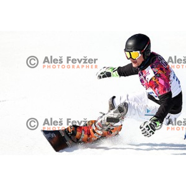 Izidor Sustersic of Slovenia races in qualification of Men\'s Parallel Slalom in Rosa Khutor Extreme Park, Sochi 2014 Winter Olympic Games, Russia on February 22, 2014