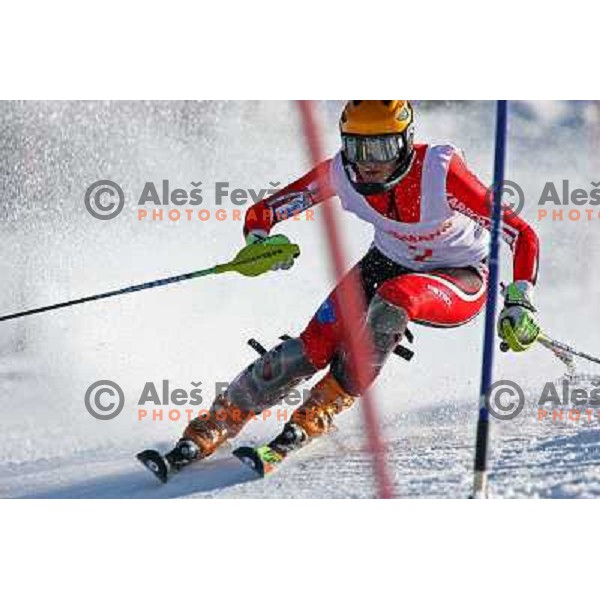 Alenka Kuerner at slalom race for Slovenian National Championship Title at Krvavec ski resort. Photo by Ales Fevzer 