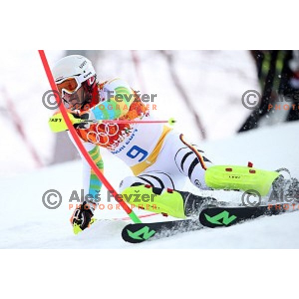 in first run of Men\'s Slalom in Rosa Khutor Alpine Center , Sochi 2014 Winter Olympic Games on February 22, 2014