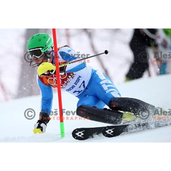 in first run of Men\'s Slalom in Rosa Khutor Alpine Center , Sochi 2014 Winter Olympic Games on February 22, 2014