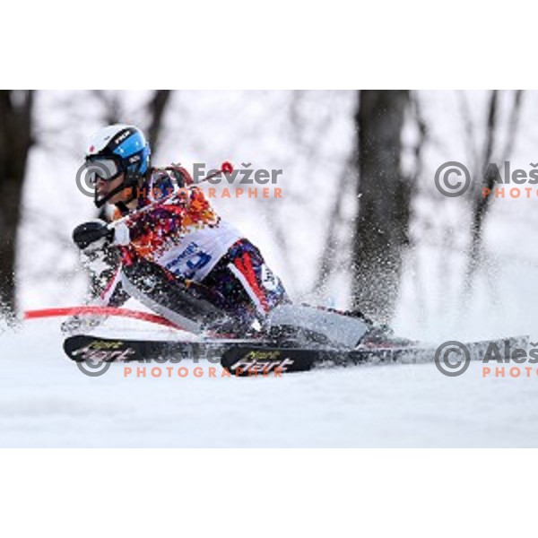in first run of Men\'s Slalom in Rosa Khutor Alpine Center , Sochi 2014 Winter Olympic Games on February 22, 2014