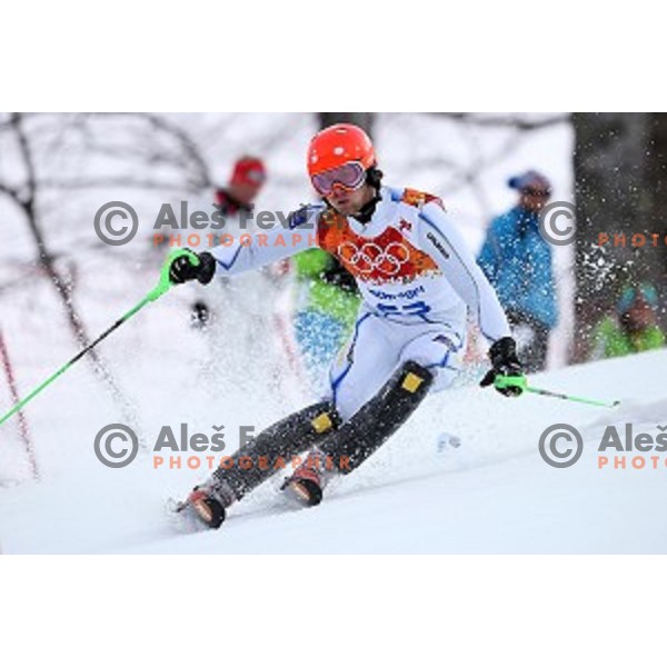 in first run of Men\'s Slalom in Rosa Khutor Alpine Center , Sochi 2014 Winter Olympic Games on February 22, 2014