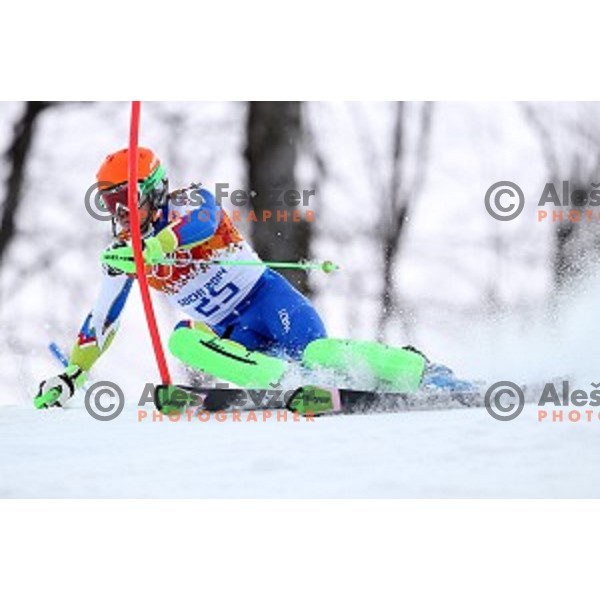 in first run of Men\'s Slalom in Rosa Khutor Alpine Center , Sochi 2014 Winter Olympic Games on February 22, 2014