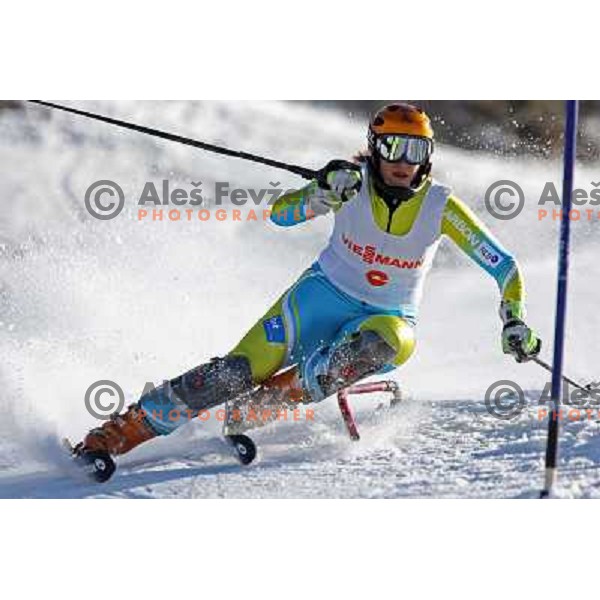Petra Robnik at slalom race for Slovenian National Championship Title at Krvavec ski resort. Photo by Ales Fevzer 