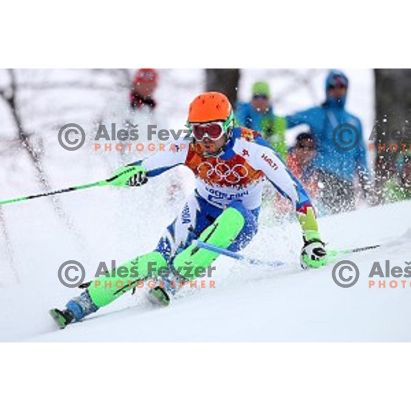 in first run of Men\'s Slalom in Rosa Khutor Alpine Center , Sochi 2014 Winter Olympic Games on February 22, 2014
