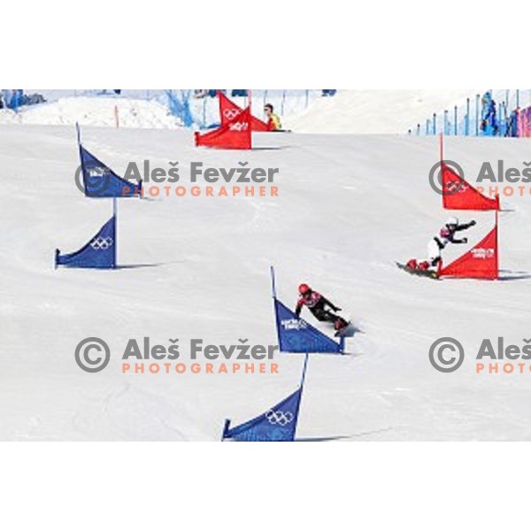 Gloria Kotnik of Slovenia and Nina Micic of Serbia in qualification of Ladies Parallel Slalom in Rosa Khutor Extreme Park, Sochi 2014 Winter Olympic Games, Russia on February 22, 2014
