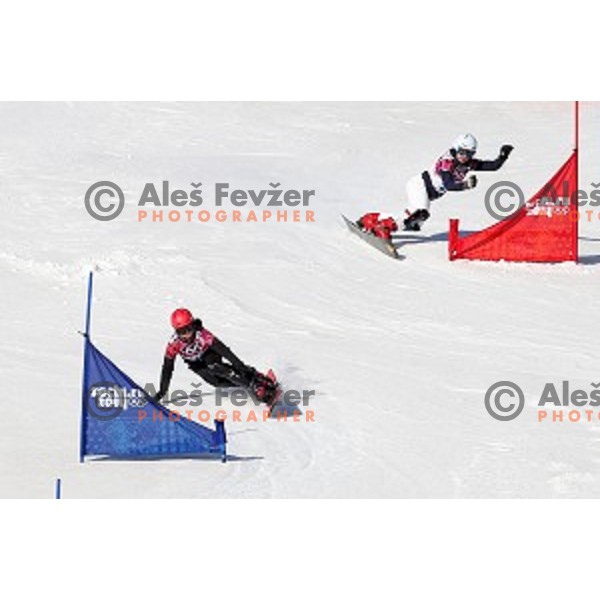 Gloria Kotnik of Slovenia and Nina Micic of Serbia in qualification of Ladies Parallel Slalom in Rosa Khutor Extreme Park, Sochi 2014 Winter Olympic Games, Russia on February 22, 2014