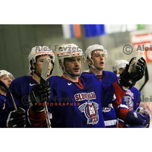 Slovenia, Ljubljana, 10.04.2007. Ivo JAN (33) during the friendly match Slovenia - Belarus.