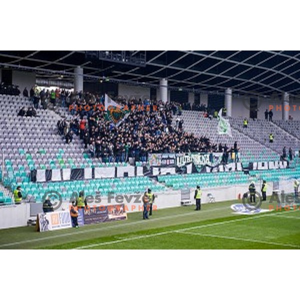 Green Dragons in action during football match Olimpija - Maribor, Round 4 of Prvaliga Telekom 2013-14 , Stozice , Ljubljana, 02.03.2014