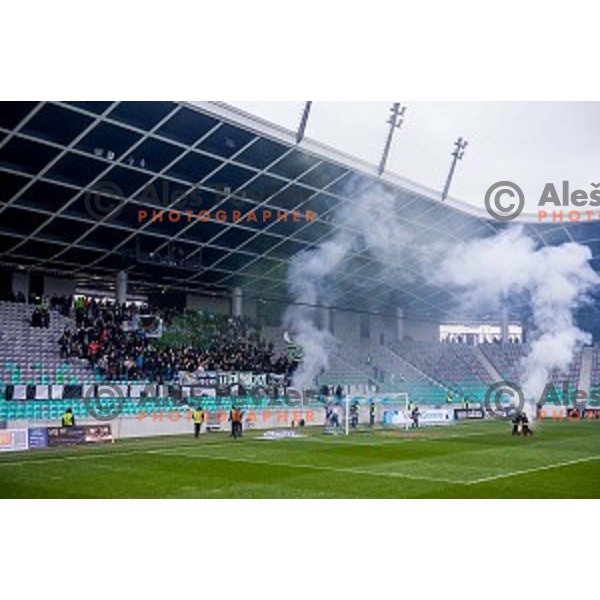 Green Dragons in action during football match Olimpija - Maribor, Round 4 of Prvaliga Telekom 2013-14 , Stozice , Ljubljana, 02.03.2014