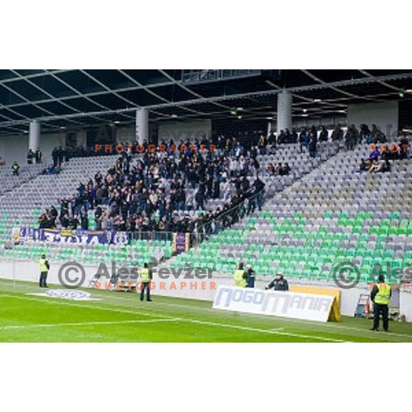 Viole in action during football match Olimpija - Maribor, Round 4 of Prvaliga Telekom 2013-14 , Stozice , Ljubljana, 02.03.2014