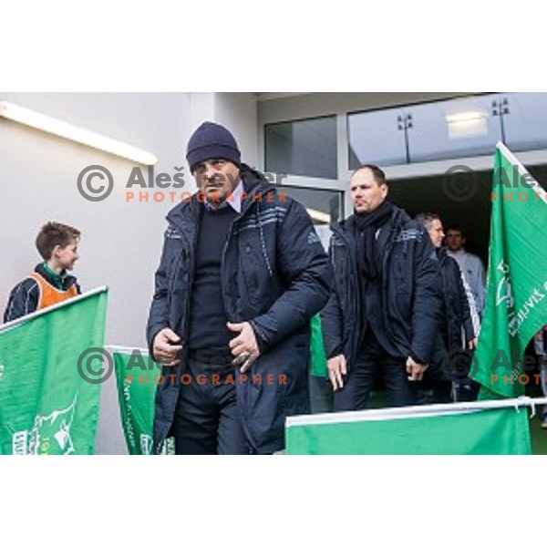 Zlatko Zahovic in action during football match Olimpija - Maribor, Round 4 of Prvaliga Telekom 2013-14 , Stozice , Ljubljana, 02.03.2014