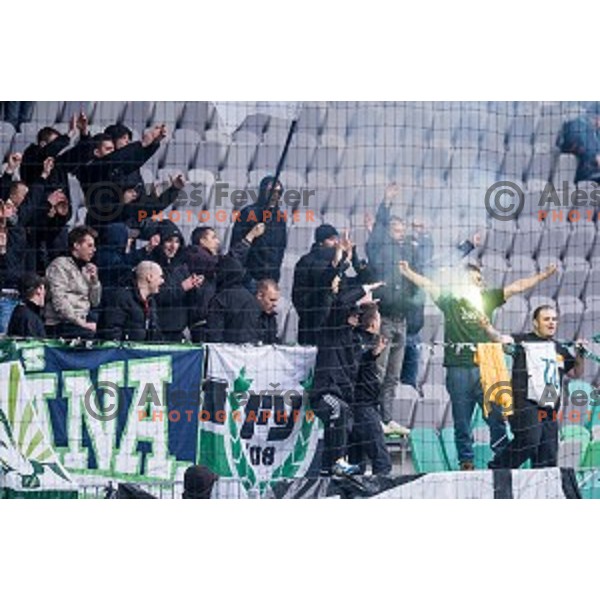 Green Dragons in action during football match Olimpija - Maribor, Round 4 of Prvaliga Telekom 2013-14 , Stozice , Ljubljana, 02.03.2014