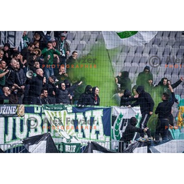 Green Dragons in action during football match Olimpija - Maribor, Round 4 of Prvaliga Telekom 2013-14 , Stozice , Ljubljana, 02.03.2014